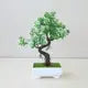 Bonsai Decorativo Artificial Super Realista